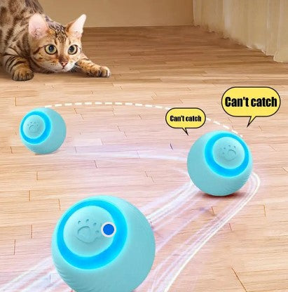 Smart, Interactive and Light-Up Ball for Cats and Dogs