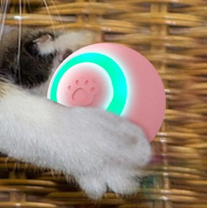 Smart, Interactive and Light-Up Ball for Cats and Dogs