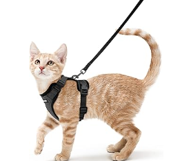 Adjustable Cat Harness with Lead Leash