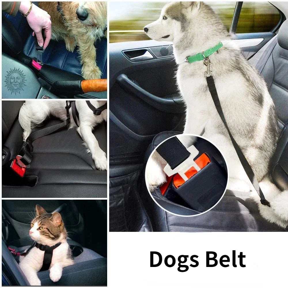 Adjustable cat and dog car seat  belt for vehicles