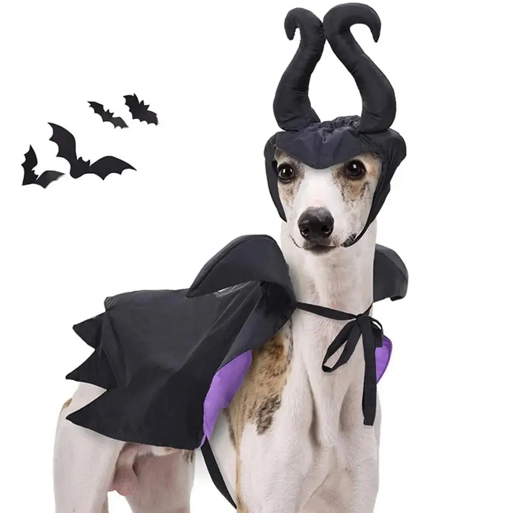 Halloween Pet Witch Costume for Cats and Dogs