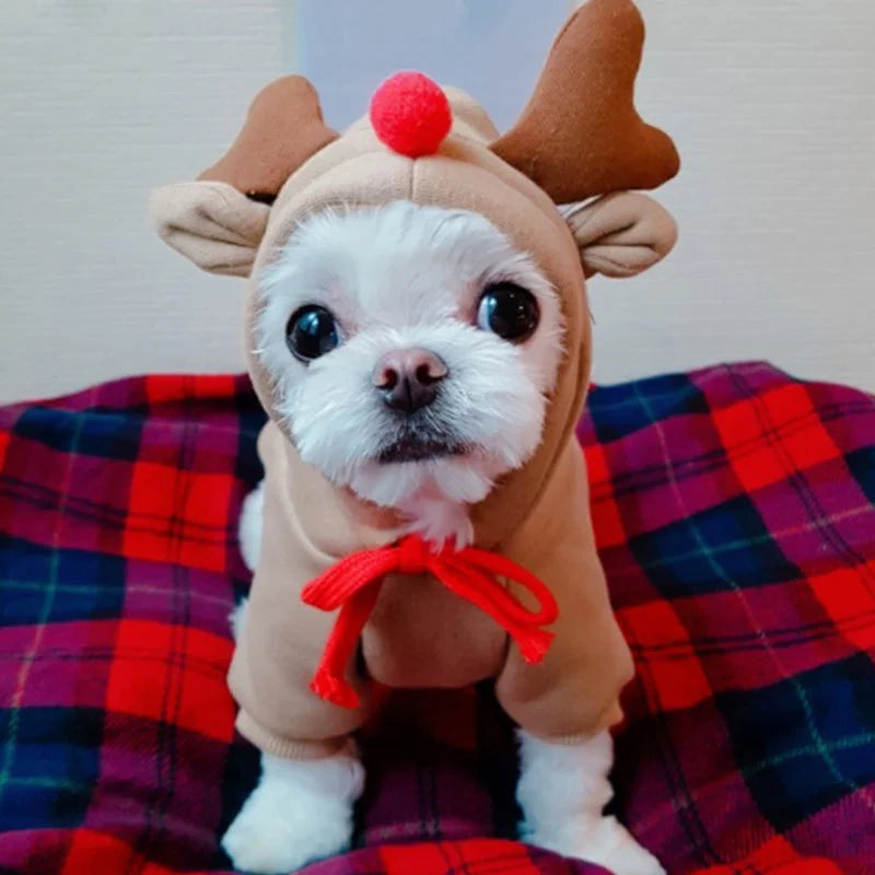 Dog Christmas  Winte Clothes