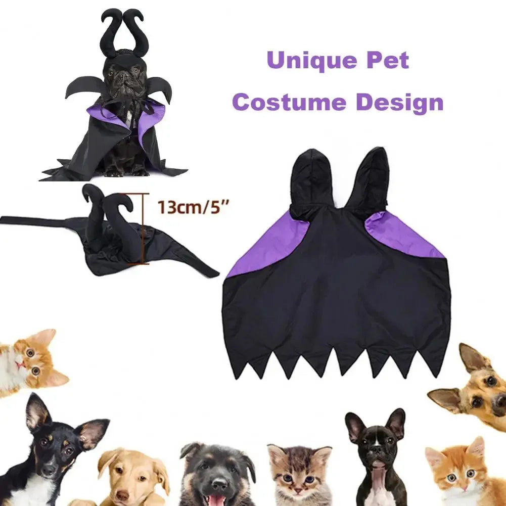 Halloween Pet Witch Costume for Cats and Dogs