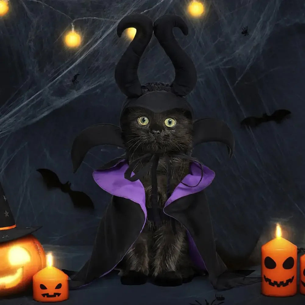 Halloween Pet Witch Costume for Cats and Dogs