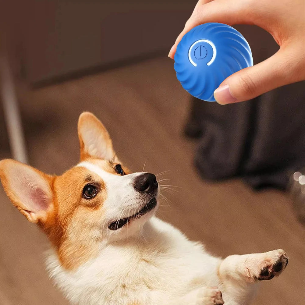 Smart, Interactive and Light-Up Ball for Cats and Dogs