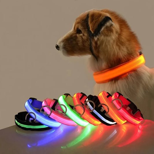 Nylon LED Night Safety Flashing Dog Leash