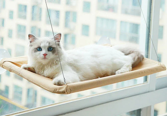 Comfortable  Cat Hanging  Bed