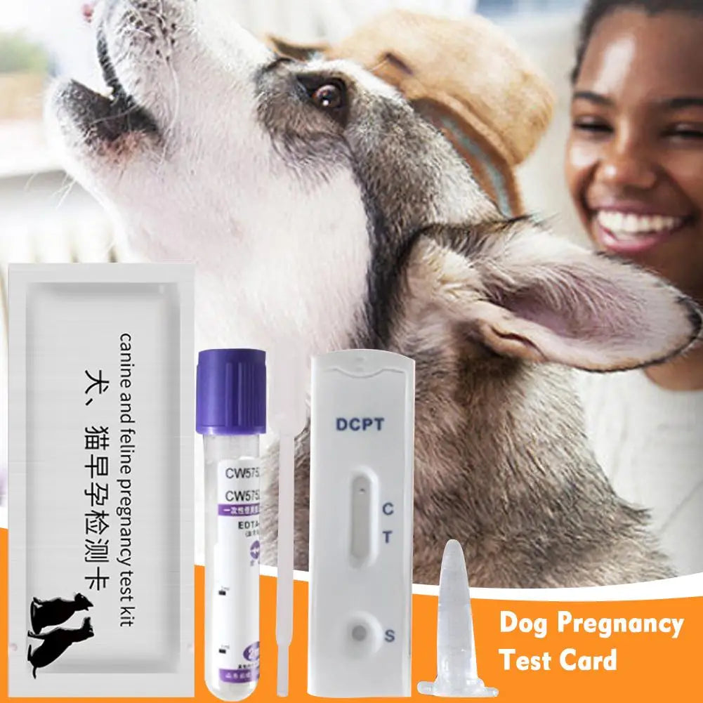 Dog Pregnancy Test