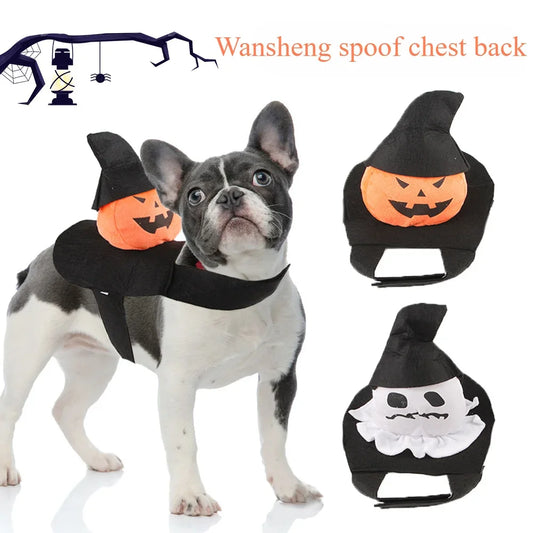 Halloween Pet Costume D