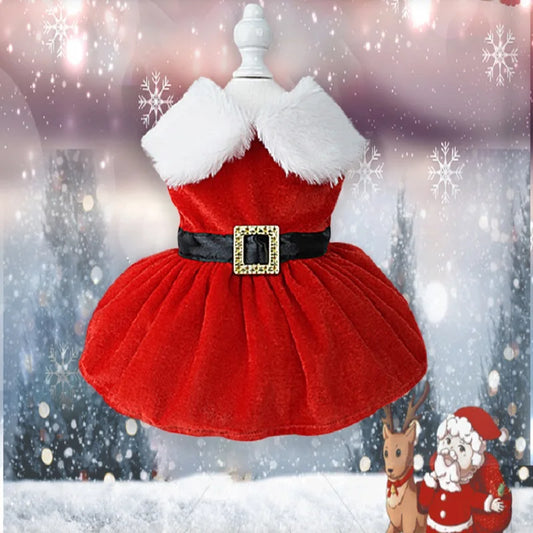 Christmas Dress for small dogs