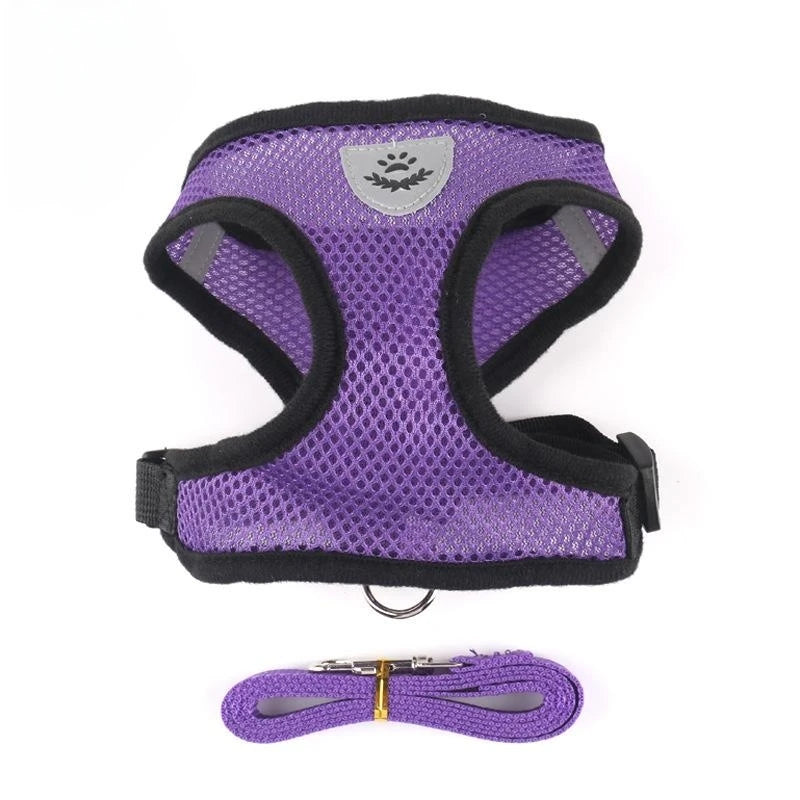 Adjustable Cat Harness with Lead Leash