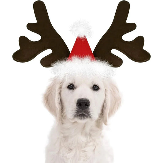 Reindeer Antlers Headband for dogs