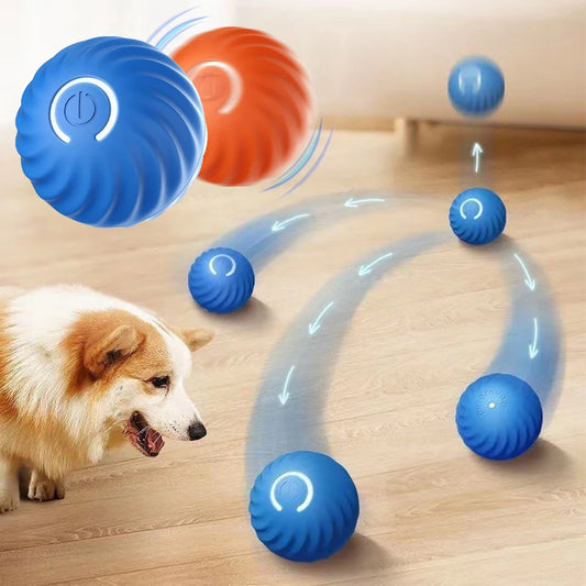 Smart, Interactive and Light-Up Ball for Cats and Dogs