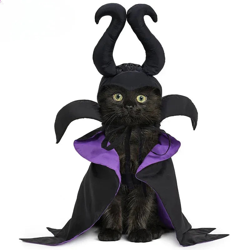 Halloween Pet Witch Costume for Cats and Dogs