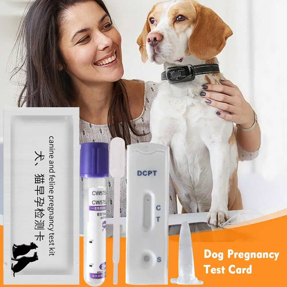 Dog Pregnancy Test