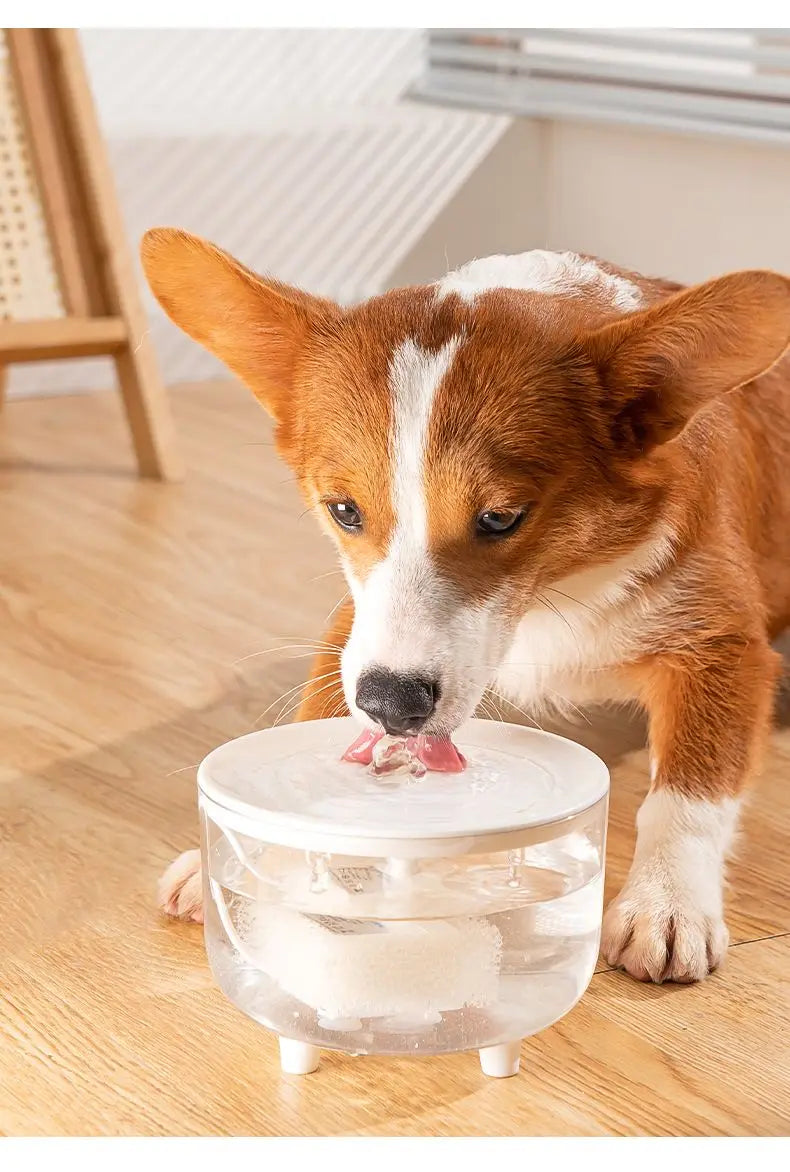 Automatic Water Fountain Pet Drink Bowl