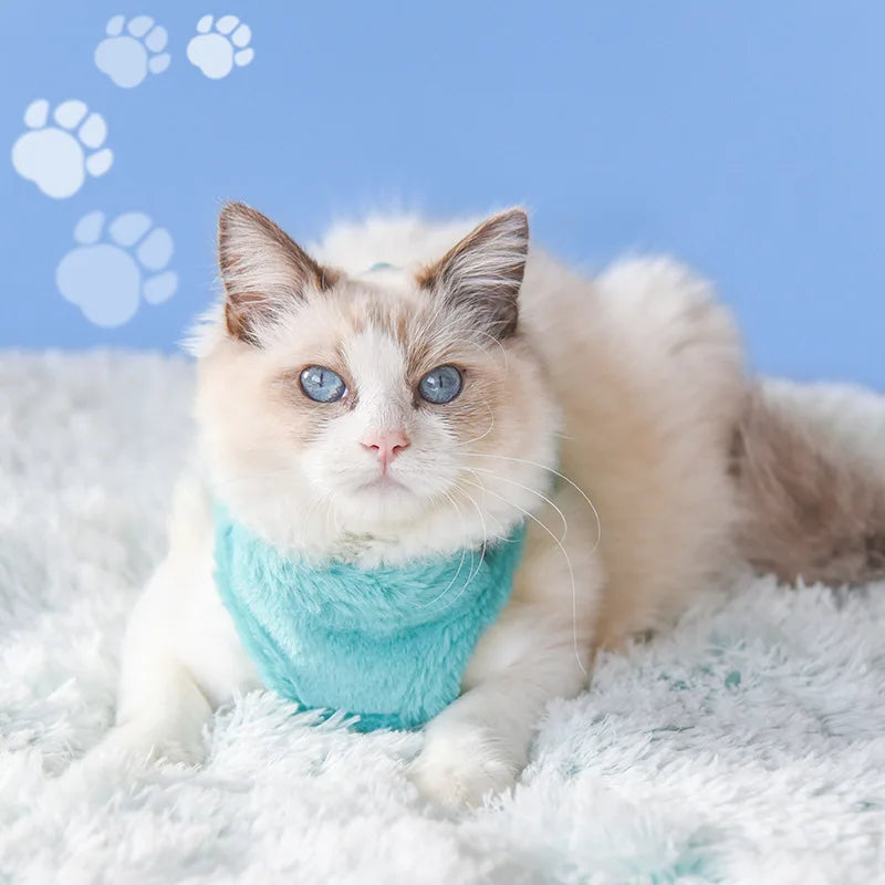 Fluffy Pet Harness and Leash