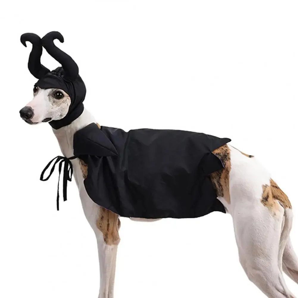 Halloween Pet Witch Costume for Cats and Dogs