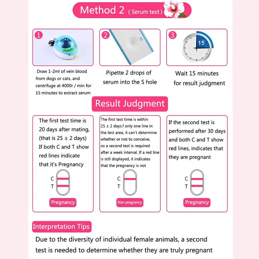 Dog Pregnancy Test
