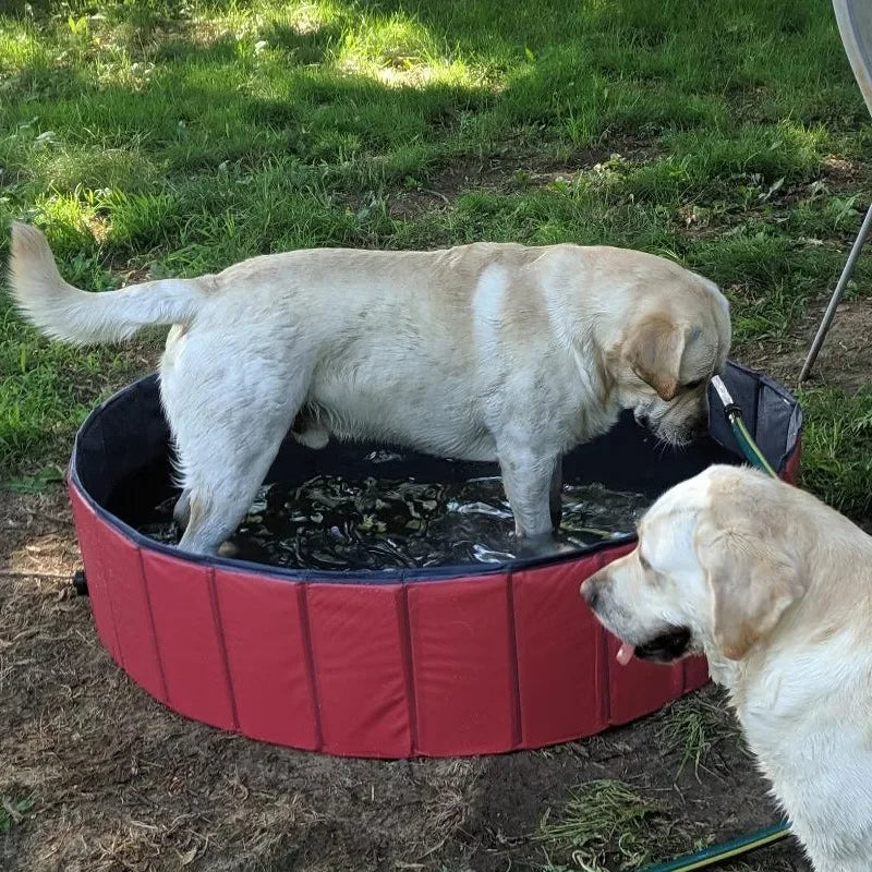 Foldable Pet Bath