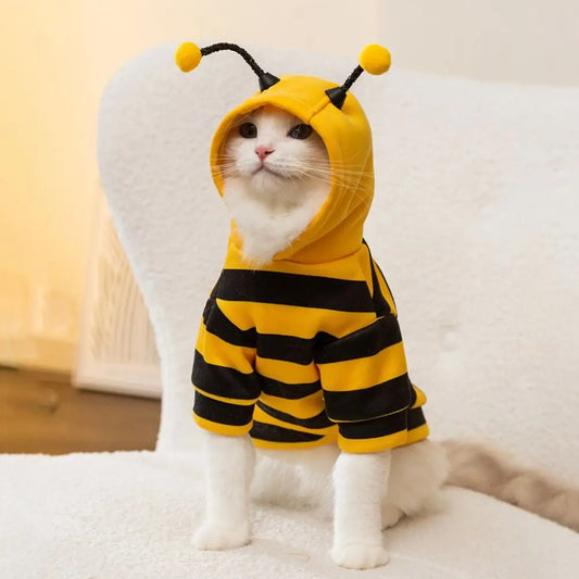 Pet  Costume Honey Bee