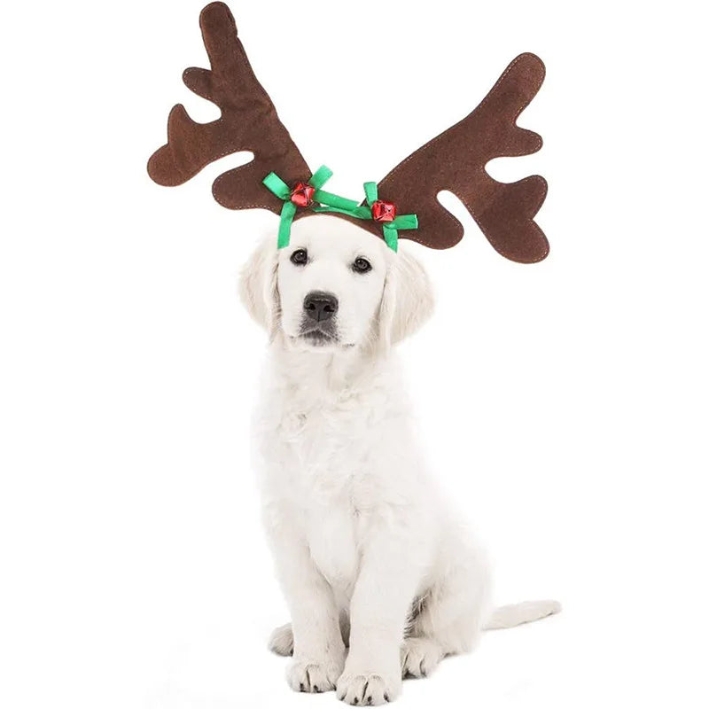 Reindeer Antlers Headband for dogs