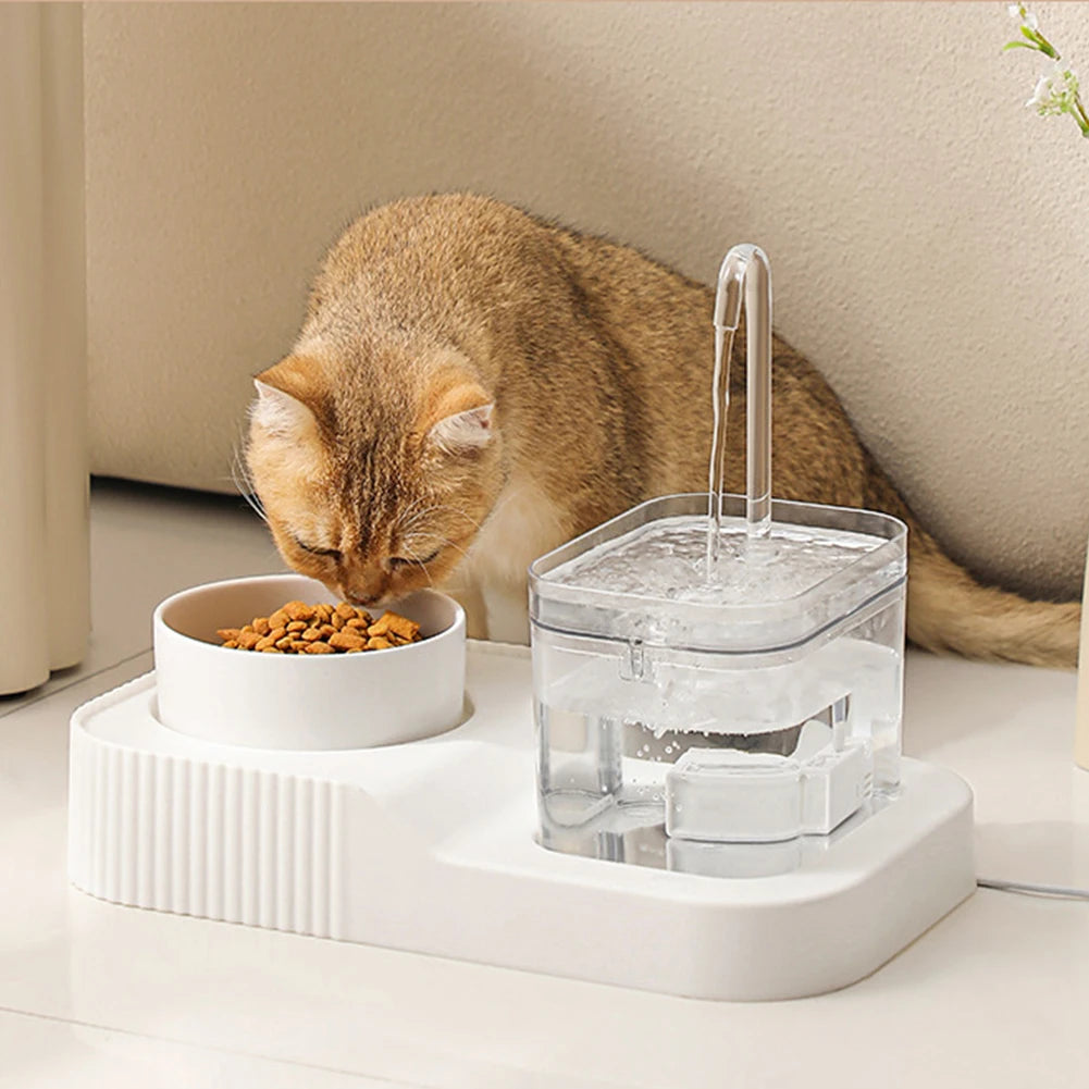 Cat Automatic Water Fountain Food Bowl